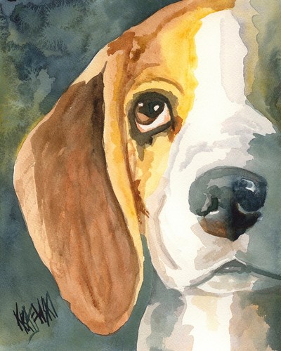 Beagle high resolution print - beagle,