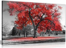 Large Tree Red Leaves Black