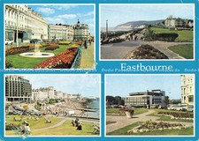 D211066 Eastbourne Judge C