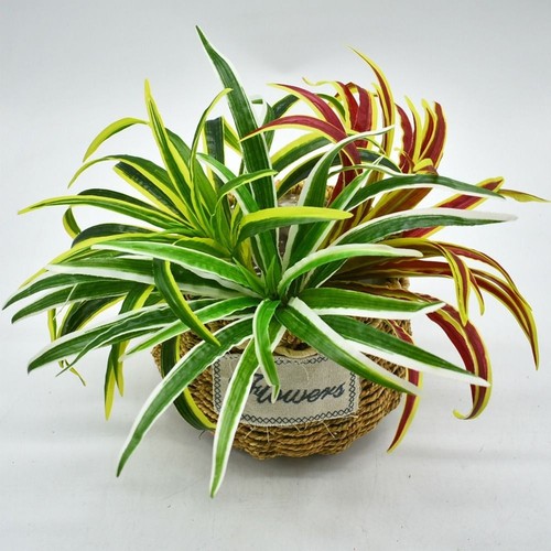 1pcs artificial spider plant - artificial,
