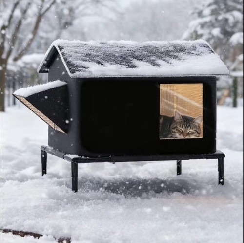 Four seasons outdoor cat - seasons,