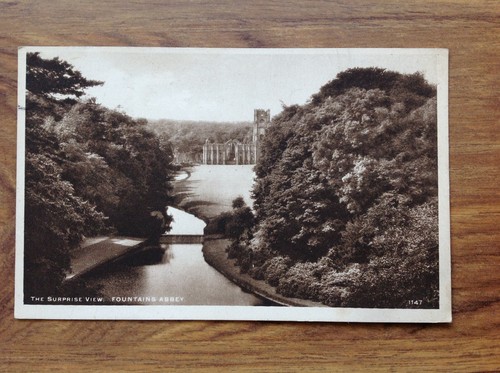 Vintage postcard suprise view - postcard,