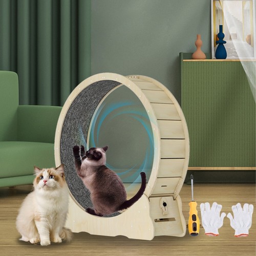 Cat wheel exerciser - cat,