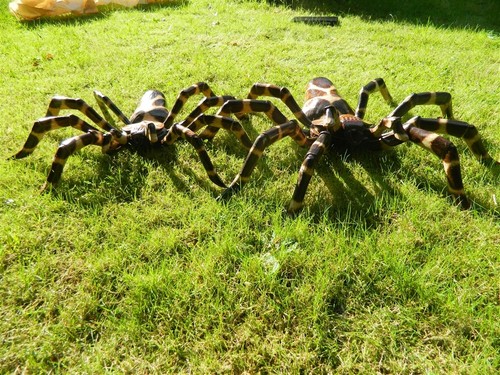 Wooden spider carving - spider,