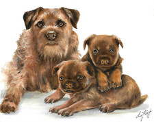 ✤ Original Oil Portrait