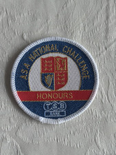 Swimming Badge Challenge Award