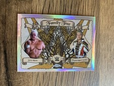 Dusty Rhodes/Cody Rhodes Family Tree Insert WWE Topps Chrome 2025 FT-RH