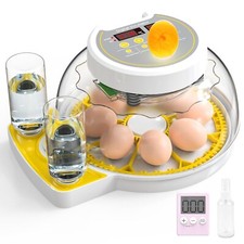 18 Eggs Incubator Display