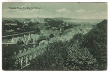 BANGOR -  WICKENS GREEN TINT