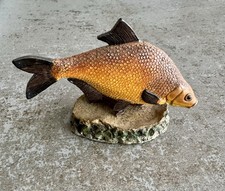 Bream - The Anglers Showcase Collection - Danbury Fishing Angling (Not A Book)