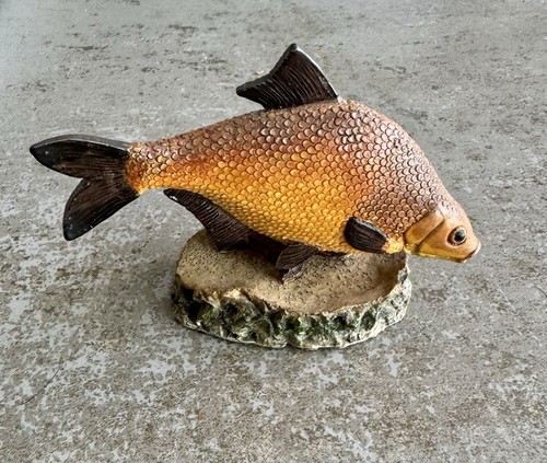 Bream the anglers showcase - bream,