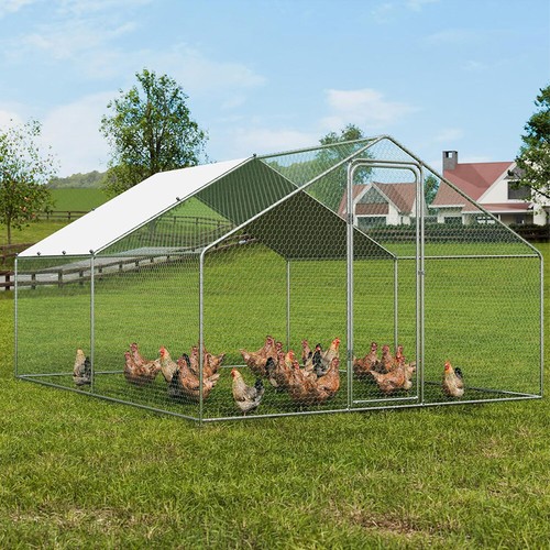 4x3x2m walk chicken - 4x3x2m,