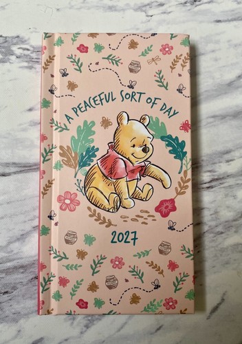 Disney winnie the pooh bear - winnie,