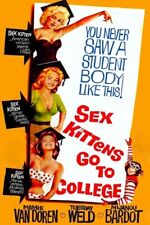 SEX KITTENS GO TO COLLEGE (1960) Mamie Van Doren - Public Domain DVD NO CASE