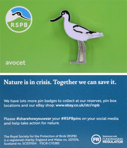 Rspb pin badge - rspb, avocet