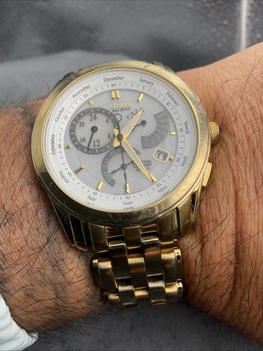 Citizen eco drive perpetual - citizen, eco-drive