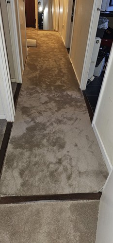 Carpet flooring off cut - &,