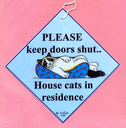 Ragdoll cat residence keep - in,