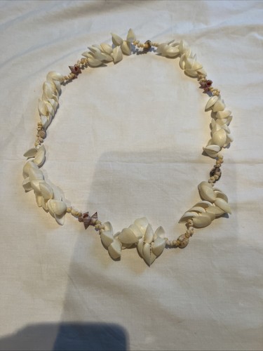 Cockle shells necklace - cockle,