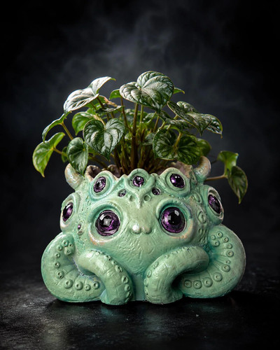 Tentacle plant pot many - many, eyed