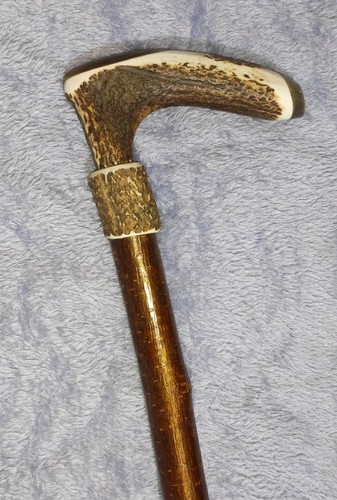 Antique stag antler - stag,