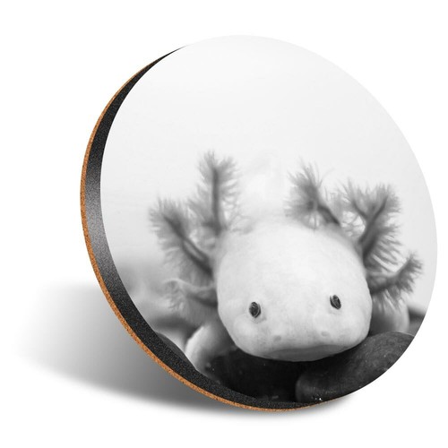 Round 12cm coaster - 12cm,