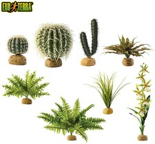 EXO TERRA REPTILE PLANTS DECORATION REALISTIC VIVARIUM TERRARIUM PLANTS DECOR