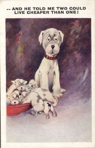 Bonzo dog puppies - bonzo, humor