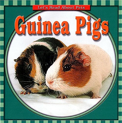 Guinea pigs let - guinea, about