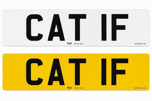Cat cherished number - 1f,