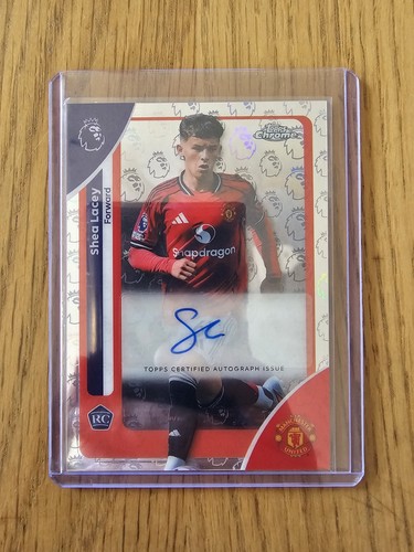 Big card shea lacey man - shea,