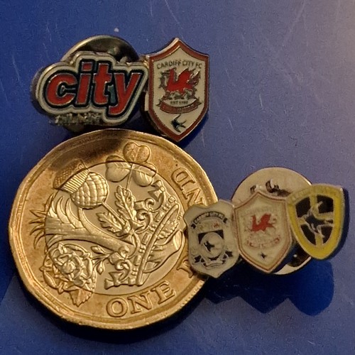 Cardiff city badges - city,