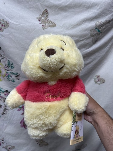 Winnie the pooh hot - winnie, water
