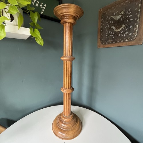 Vintage beech fluted plant - vintage,