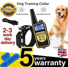 Electric Dog Pet Training