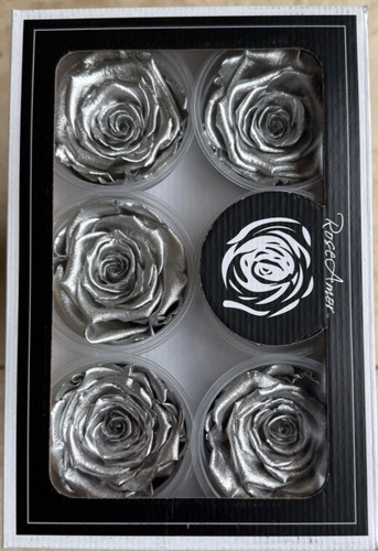 Silver metallic preserved - silver,