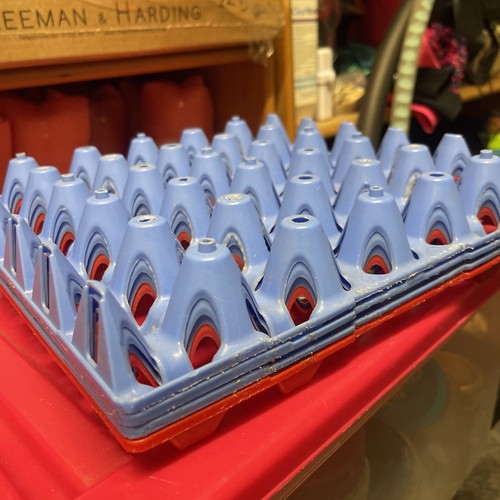 Plastic egg trays - egg,