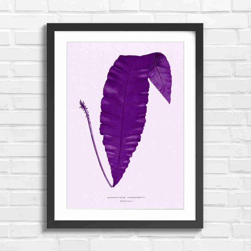 Vintage botanical fern leaf - vintage,