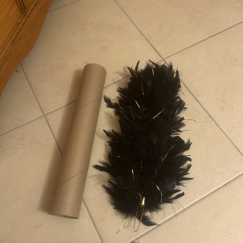 Stanbury marching band hat - stanbury,
