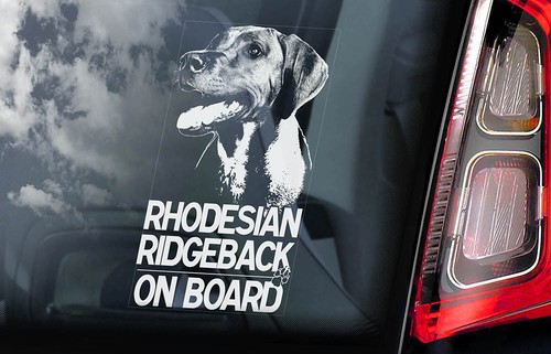 Rhodesian ridgeback car - rhodesian,