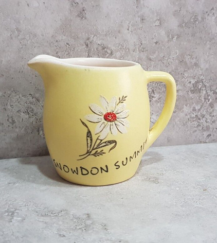 Yellow milk jug snowden - yellow,