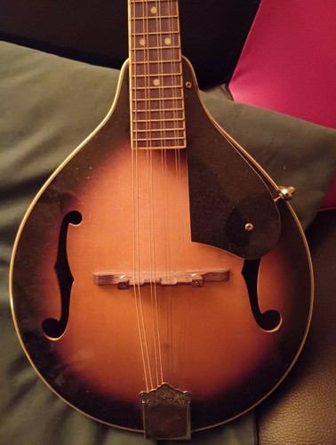 Ozark mandolin 2071 model - mandolin,