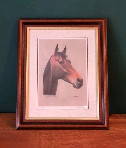Brigadier gerard equine - brigadier,