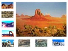 Aquarium /Vivarium Plastic