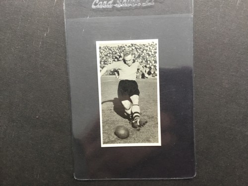 Adolph subbuteo famous - p.a.adolph,