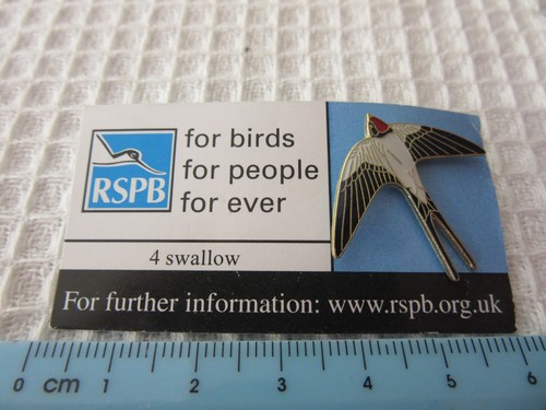 Rspb swallow bird - rspb,