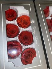 6 PRESERVED RED REAL ROSES ETERNAL INFINITY LAST UPTO 1 YEAR 5/6cm