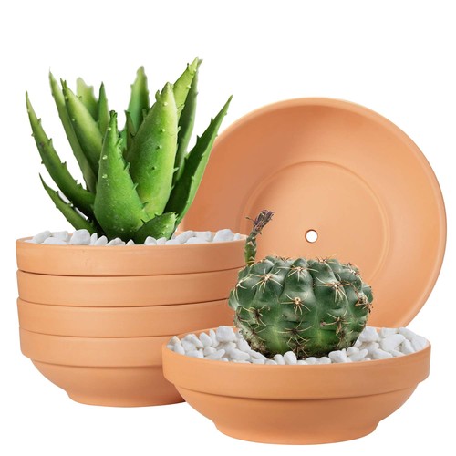 Terracotta pots 43 - pots,, inch