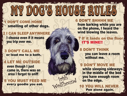 Dog house rules irish - my,