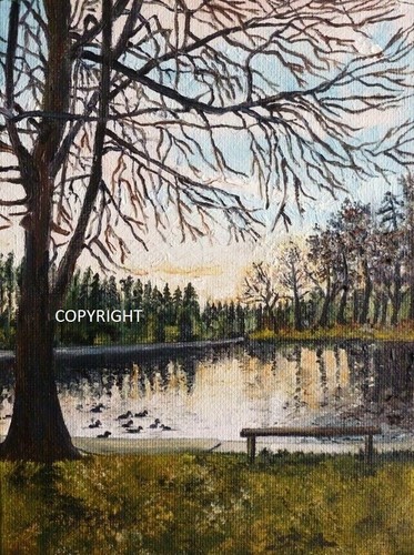 Shearwater lake original oil - shearwater,